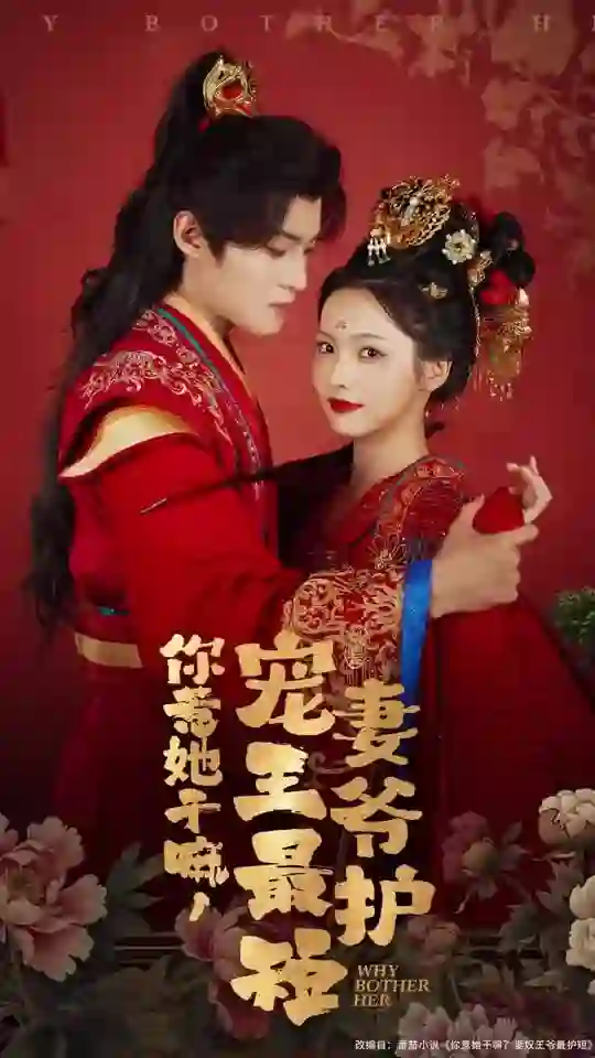 你惹她干嘛,宠妻王爷最护