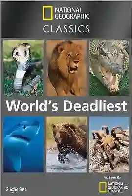 世界致命动物系列:印度篇